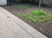 İcarəyə verilir 12 otaqlı həyət evi/bağ evi 600 m², Nəsimi m., photo 1 from 8