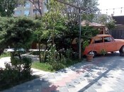 İcarəyə verilir  obyekt 400 m², Azadlıq Prospekti m., photo 4 from 8