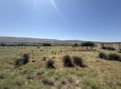 Satılır  torpaq 200 sot, Xocəsən m., photo 4 from 8