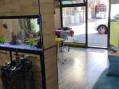 İcarəyə verilir  obyekt 32 m², Sahil m., photo 4 from 8