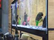 İcarəyə verilir  obyekt 32 m², Sahil m., photo 3 from 8