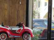 İcarəyə verilir  obyekt 32 m², Sahil m., photo 7 from 8