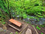 Продаётся  участок 14 сот, photo 7 from 8
