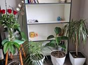 Сдаётся 1-комн. новостройка 30 м², м. 20 января, photo 1 from 8