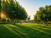 Satılır 8 otaqlı həyət evi/bağ evi 1 500 m², Bilgəh q., photo 4 from 8