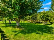 Satılır 8 otaqlı həyət evi/bağ evi 1 500 m², Bilgəh q., photo 5 from 8