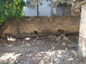 Satılır 1 otaqlı həyət evi/bağ evi 78 m², photo 5 from 7