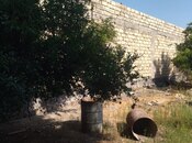 Satılır 1 otaqlı həyət evi/bağ evi 78 m², photo 4 from 7