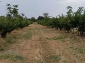 Satılır  torpaq 127 sot, Xaçmaz r., photo 4 from 7