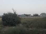 Satılır  torpaq 16 sot, Albalılıq q., photo 5 from 5
