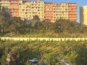 Satılır 2 otaqlı köhnə tikili 52 m², Həzi Aslanov m., photo 7 from 8