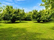 Продаётся  участок 4 сот, photo 1 from 8