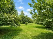 Продаётся  участок 4 сот, photo 3 from 8