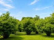 Продаётся  участок 4 сот, photo 6 from 8