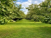 Продаётся  участок 4 сот, photo 4 from 8