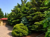 Satılır 6 otaqlı həyət evi/bağ evi 400 m², Novxanı q., photo 4 from 8
