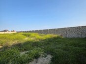 Продаётся  участок 7 сот, пос. Мардакан, photo 7 from 7