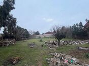 Satılır  torpaq 6 sot, Albalılıq q., photo 2 from 4
