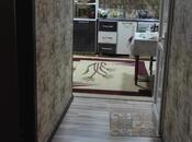 Продаётся 3-комн. новостройка 110 м², м. Ази Асланов, photo 8 from 8