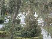 Продаётся 5-комн. вторичка 258 м², м. Ичеришехер, photo 8 from 8