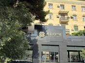 Продаётся 5-комн. вторичка 210 м², м. Элмляр Академиясы, photo 2 from 8