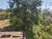 Satılır  torpaq 12 sot, Novxanı q., photo 8 from 8
