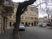 Сдаётся 2-комн. вторичка 50 м², м. Сахил, photo 5 from 8