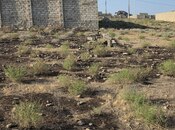 Satılır  torpaq 10 sot, Türkan q., photo 4 from 6