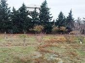 Продаётся  участок 34 сот, пос. Новханы, photo 4 from 8