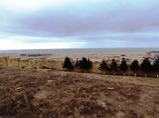 Продаётся  участок 34 сот, пос. Новханы, photo 8 from 8