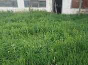 Продаётся  участок 11 сот, пос. Биладжары, photo 2 from 5