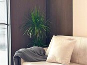 Satılır 2 otaqlı yeni tikili 65.5 m², Nəriman Nərimanov m., photo 2 from 8