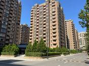 Satılır 3 otaqlı yeni tikili 110 m², 28 May m., photo 2 from 8