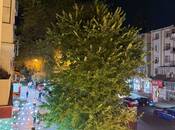 İcarəyə verilir 1 otaqlı köhnə tikili 35 m², Elmlər Akademiyası m., photo 8 from 8