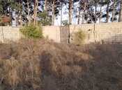 Продаётся  участок 8 сот, пос. Горадил, photo 3 from 8