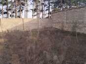 Продаётся  участок 8 сот, пос. Горадил, photo 8 from 8