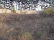 Продаётся  участок 8 сот, пос. Горадил, photo 6 from 8