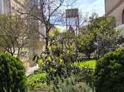 İcarəyə verilir 6 otaqlı həyət evi/bağ evi 600 m², Badamdar q., photo 4 from 8