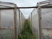 Продаётся 4-комн. дом/дача 190 м², Сабунчинский  р., photo 4 from 8