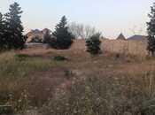 Продаётся  участок 35 сот, пос. Мардакан, photo 1 from 6