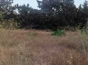 Продаётся  участок 35 сот, пос. Мардакан, photo 2 from 6