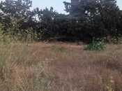 Продаётся  участок 35 сот, пос. Мардакан, photo 3 from 6