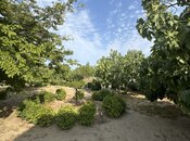 Satılır 5 otaqlı həyət evi/bağ evi 275 m², Albalılıq q., photo 8 from 8