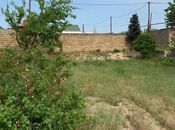 Продаётся  участок 11 сот, пос. Пиршаги, photo 8 from 8