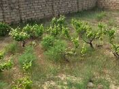Продаётся  участок 11 сот, пос. Пиршаги, photo 4 from 8