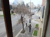 İcarəyə verilir  obyekt 135 m², 28 May m., photo 4 from 8