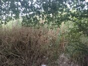 Продаётся  участок 5 сот, пос. Баилова, photo 4 from 4