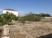 Satılır  torpaq 10 sot, Novxanı q., photo 2 from 4
