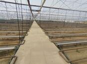 Satılır  obyekt 20 000 m², Zirə q., photo 2 from 6