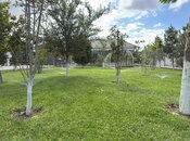 Satılır 5 otaqlı həyət evi/bağ evi 200 m², Novxanı q., photo 3 from 8